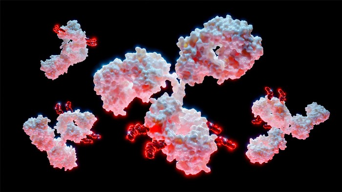 An antibody is linked to a small molecule via a covalent tether.