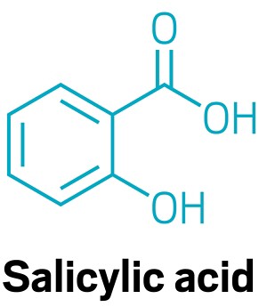 The structure of salicylic acid.