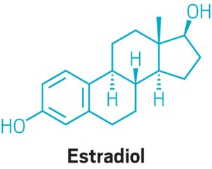 Chemical structure of estradoil.