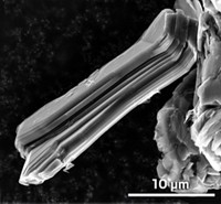 Serving the chemical, life science, and laboratory worlds