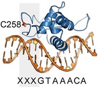 Serving the chemical, life science, and laboratory worlds