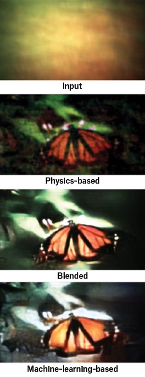 Three images. One, labeled Input, sits above the other three and is a blur of orange and green. The three images beneath are labeled Physics-based, Blended, and Machine-learning-based. Each shows a butterfly at varying levels of blurriness and pixelation.