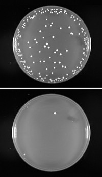 Serving the chemical, life science, and laboratory worlds