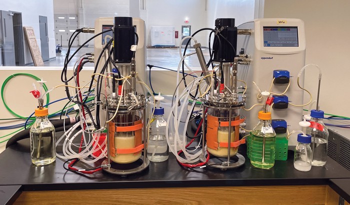 Dois biorreatores de 2 L contendo uma pasta marrom clara ficam em uma bancada de laboratório conectada por um tubo plástico a um controlador de bioprocesso.