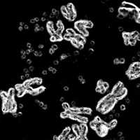Serving the chemical, life science, and laboratory worlds
