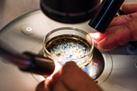 Serving the chemical, life science, and laboratory worlds
