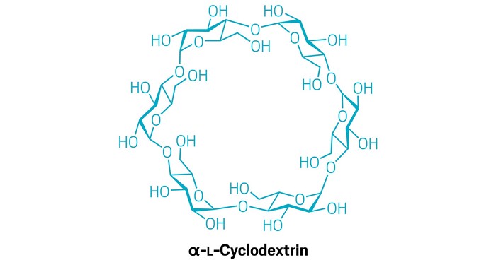 Molecules of the 12 months 2024