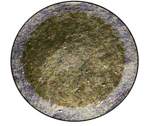 A circle showing a sample of samarium-146.