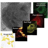 Serving the chemical, life science, and laboratory worlds