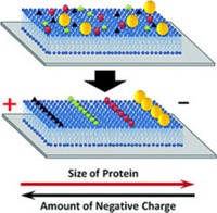 Serving the chemical, life science, and laboratory worlds