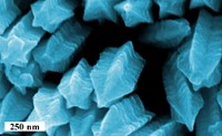 Serving the chemical, life science, and laboratory worlds