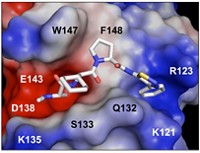 Serving the chemical, life science, and laboratory worlds