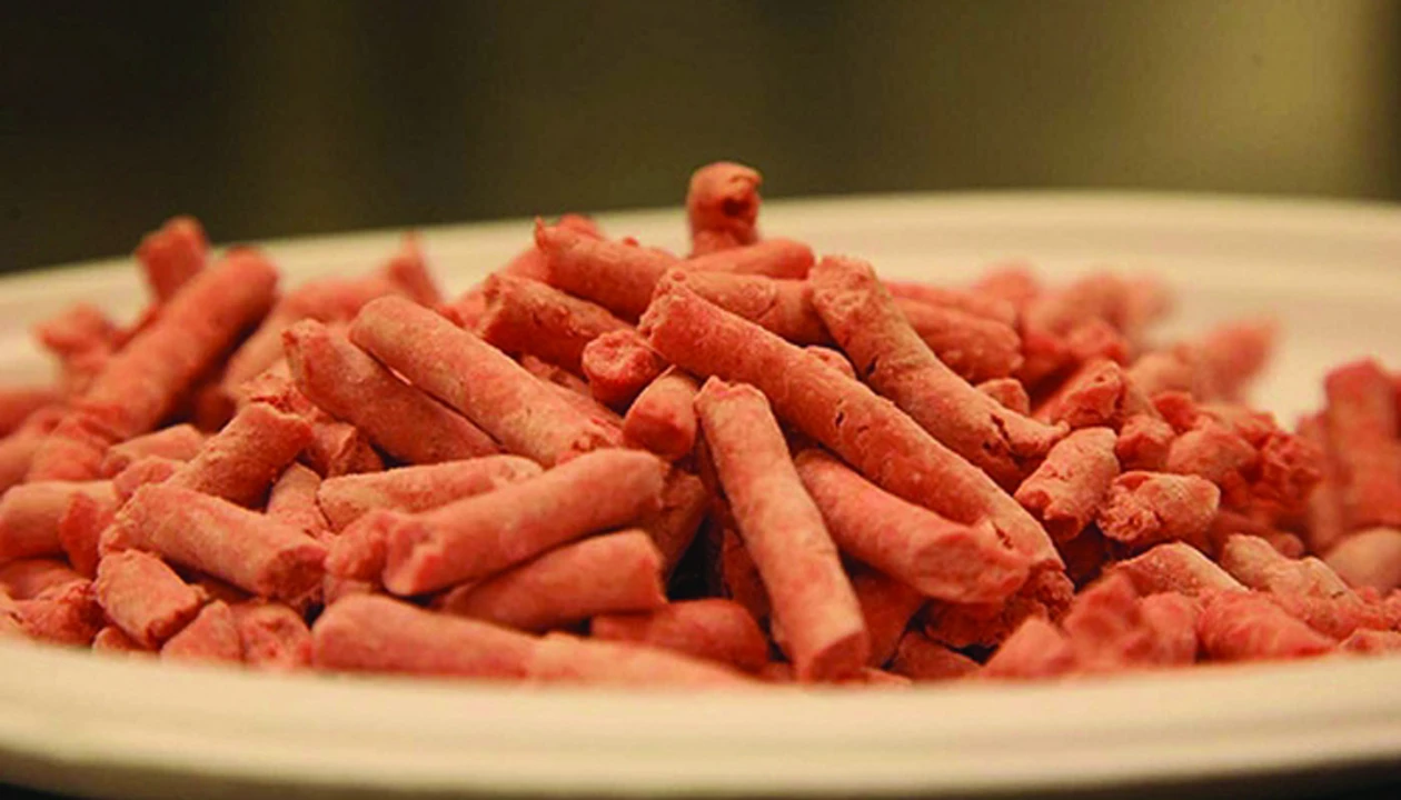 Pink Slime