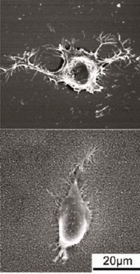 Serving the chemical, life science, and laboratory worlds