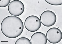 Serving the chemical, life science, and laboratory worlds