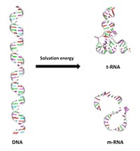 Serving the chemical, life science, and laboratory worlds
