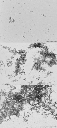 Serving the chemical, life science, and laboratory worlds