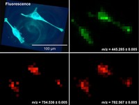 Serving the chemical, life science, and laboratory worlds