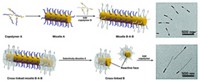 Serving the chemical, life science, and laboratory worlds