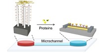 Serving the chemical, life science, and laboratory worlds