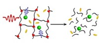 Serving the chemical, life science, and laboratory worlds