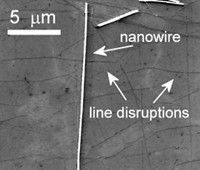 Serving the chemical, life science, and laboratory worlds