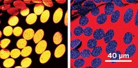Serving the chemical, life science, and laboratory worlds