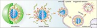 Serving the chemical, life science, and laboratory worlds