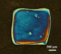 Serving the chemical, life science, and laboratory worlds