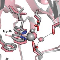 Serving the chemical, life science, and laboratory worlds