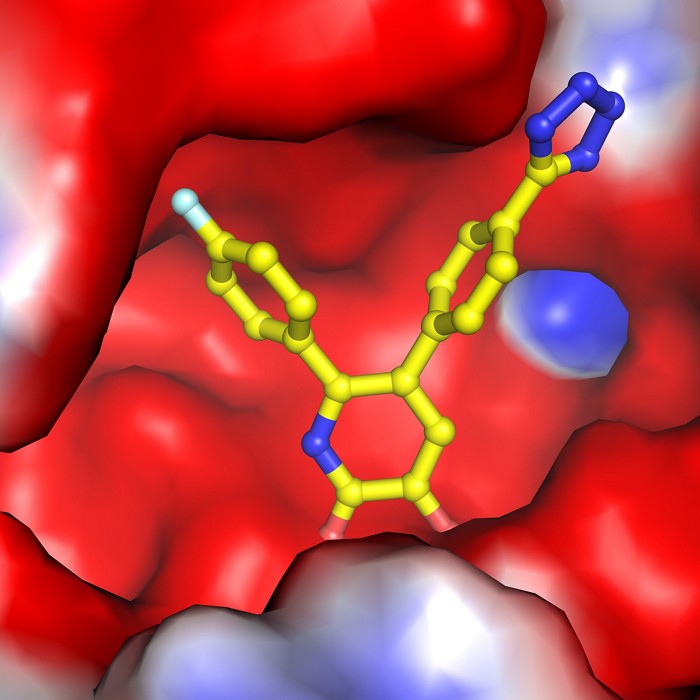 New-Compound-Stops-Flu-Viruss