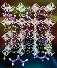 Serving the chemical, life science, and laboratory worlds