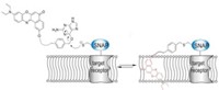 Serving the chemical, life science, and laboratory worlds