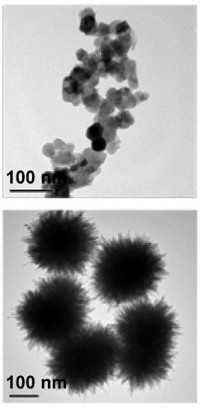 Serving the chemical, life science, and laboratory worlds