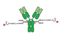 Serving the chemical, life science, and laboratory worlds