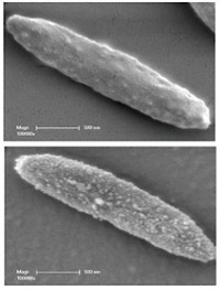 Serving the chemical, life science, and laboratory worlds