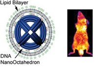 Serving the chemical, life science, and laboratory worlds