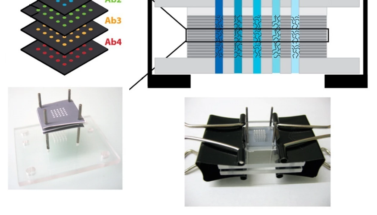 Protein Microarrays Go 3-D