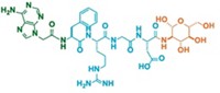 Serving the chemical, life science, and laboratory worlds
