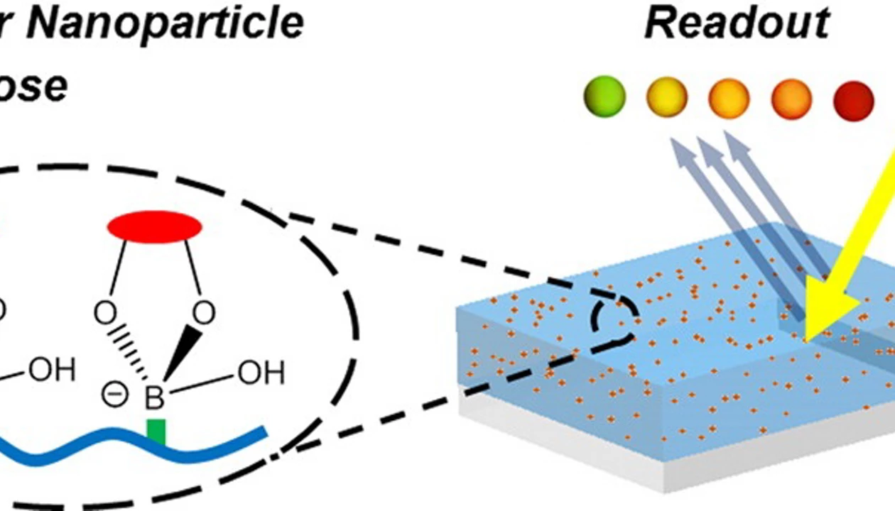 Low-cost, Reusable Glucose Sensor