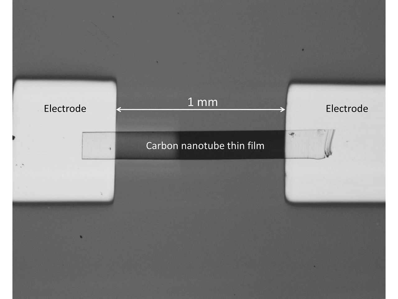 Stretchy diode could add wireless communication capability to skin