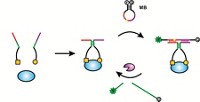 Serving the chemical, life science, and laboratory worlds