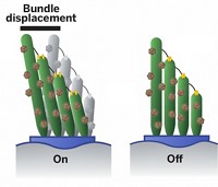 Serving the chemical, life science, and laboratory worlds