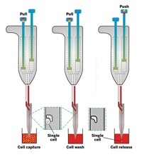 Serving the chemical, life science, and laboratory worlds