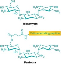 Serving the chemical, life science, and laboratory worlds