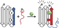 Serving the chemical, life science, and laboratory worlds