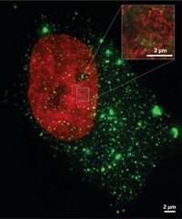 Serving the chemical, life science, and laboratory worlds