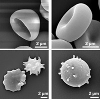 Serving the chemical, life science, and laboratory worlds