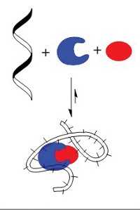 Serving the chemical, life science, and laboratory worlds