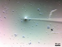 Serving the chemical, life science, and laboratory worlds